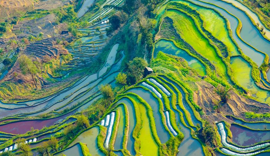 走进昭苏县TVC拍摄：解锁本地化场景与创意镜头的完美融合